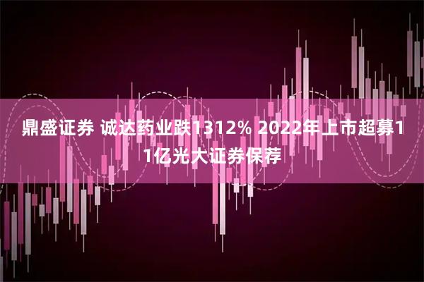 鼎盛证券 诚达药业跌1312% 2022年上市超募11亿光大证券保荐